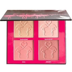 Shaina B. Miami Blush and Highlight Mini Palette, 6.5 inch